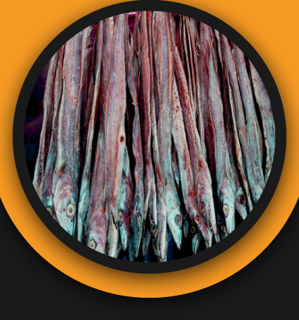 Dry Suri (Per Kilogram1100 Tk) 100 Gram