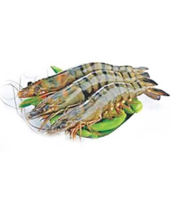 Bagda Prawn (বাগদা চিংড়ি) 1kg