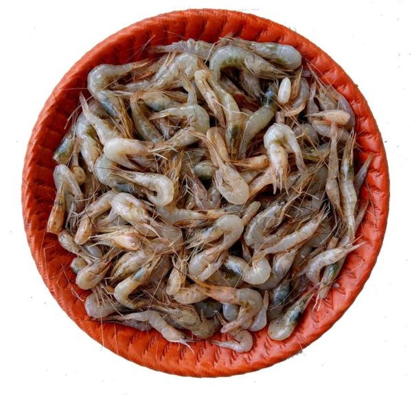 Deshi Kucho Chingri 1kg