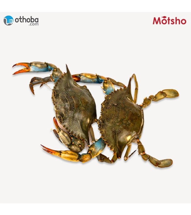 Blue Swimmer Crab 1 Kg (5-6) pic