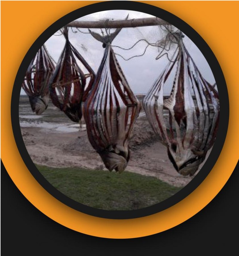 Dry Surma Fish (Per Kilogram 1000 Tk)