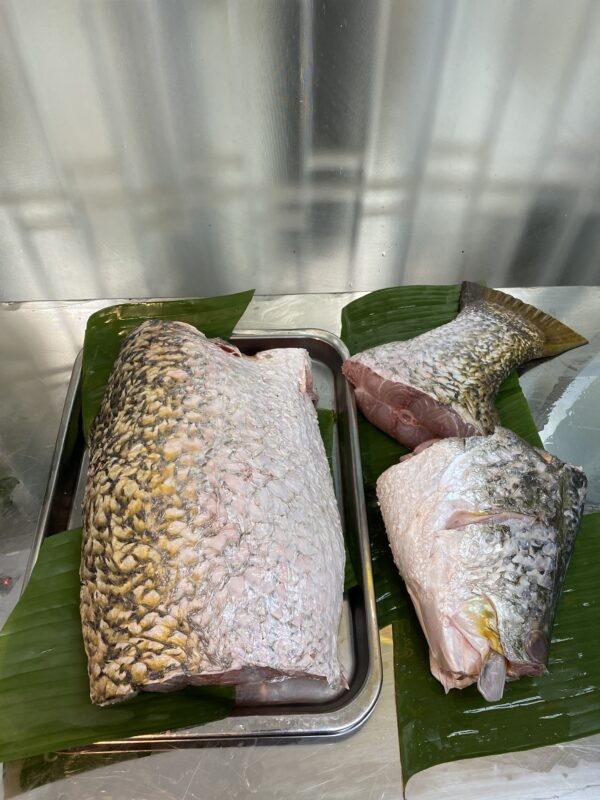 8kg+ River Koral : (1kg) ৳ 1,100.00