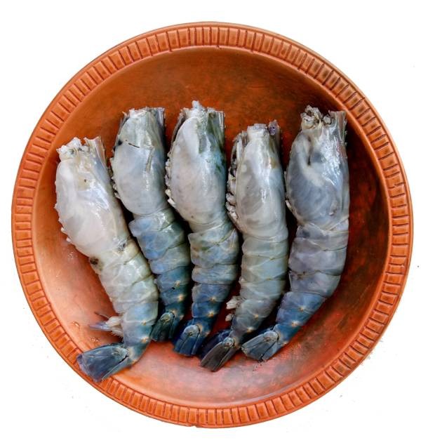 Golda Chingri (10-15pcs/Kg)