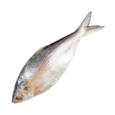 Whole Hilsha Fish (Asto Ilish) ±50 gm 700 gm