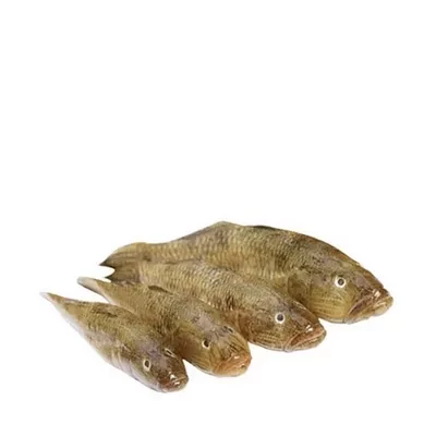 Baila Fish Medium ±30 gm 500 gm