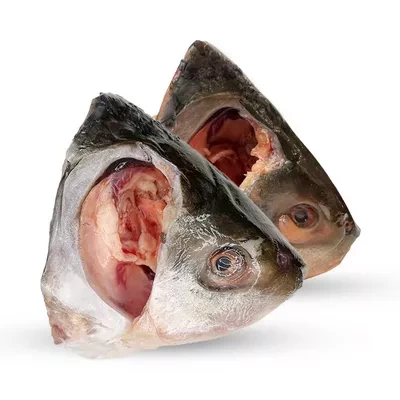 Rui Fish Head Medium 2 pcs