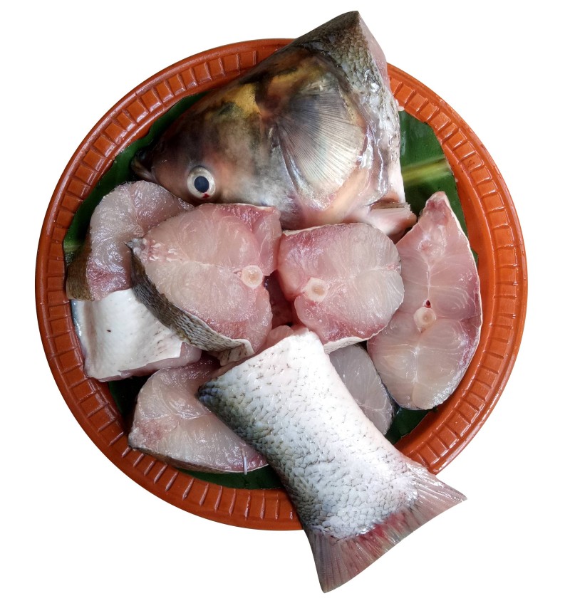Silver Carp (1.5kg+)
