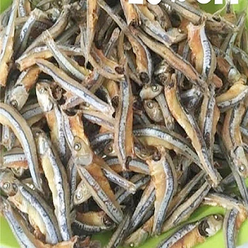 Dry Kacki Fish (কাচঁকি শুটঁকি)-100 Gm