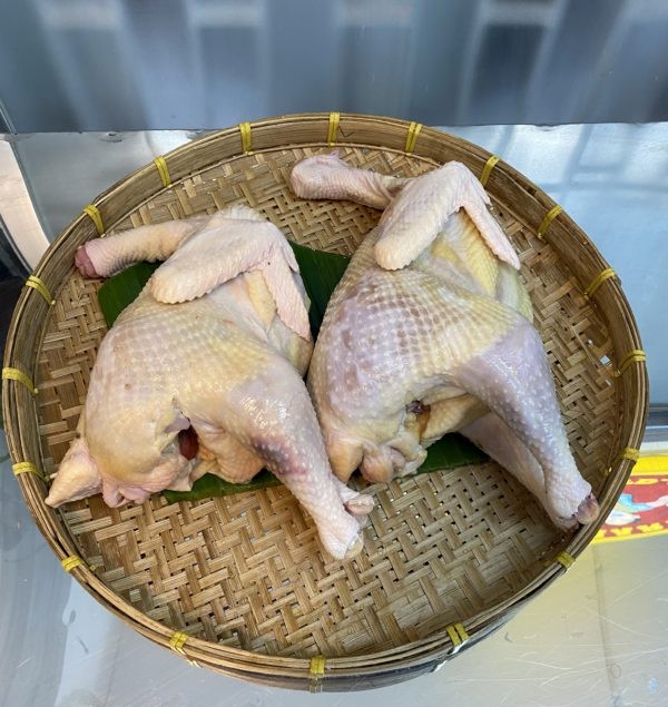 Rata Morog (Live Weight) : 1.5kg-2kg)