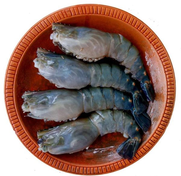 GOLDA CHINGRI (7-8PCS.KG)